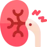 Kidney Impairment